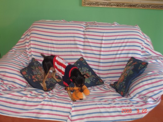 ESTA CON LA CAMISETA DEL JUNIOR DE BARRANQUILLA, JUGANDO CON UNO DE SUS MUÑECOS.